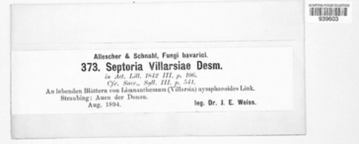 Septoria villarsiae image